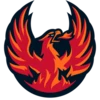 Coachella Valley Firebirds vs San Diego Gulls