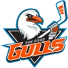 Coachella Valley Firebirds vs San Diego Gulls